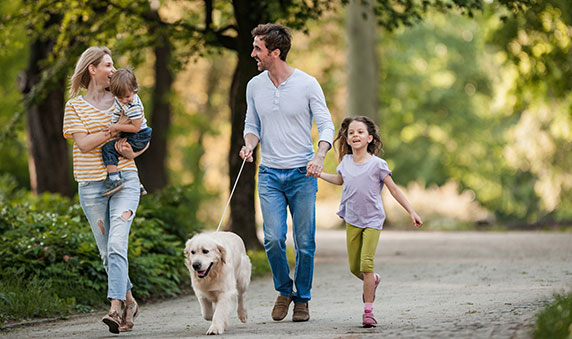 Are the Washington DC parks open?