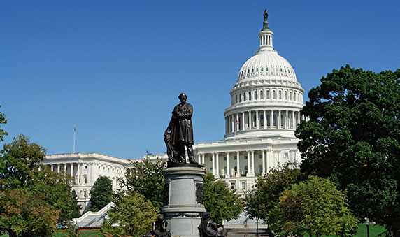 Should I take a sight-seeing tour?