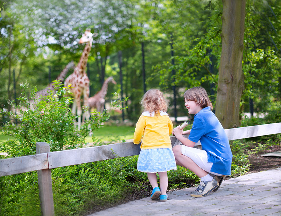 Washington, DC Smithsonian National Zoological Park